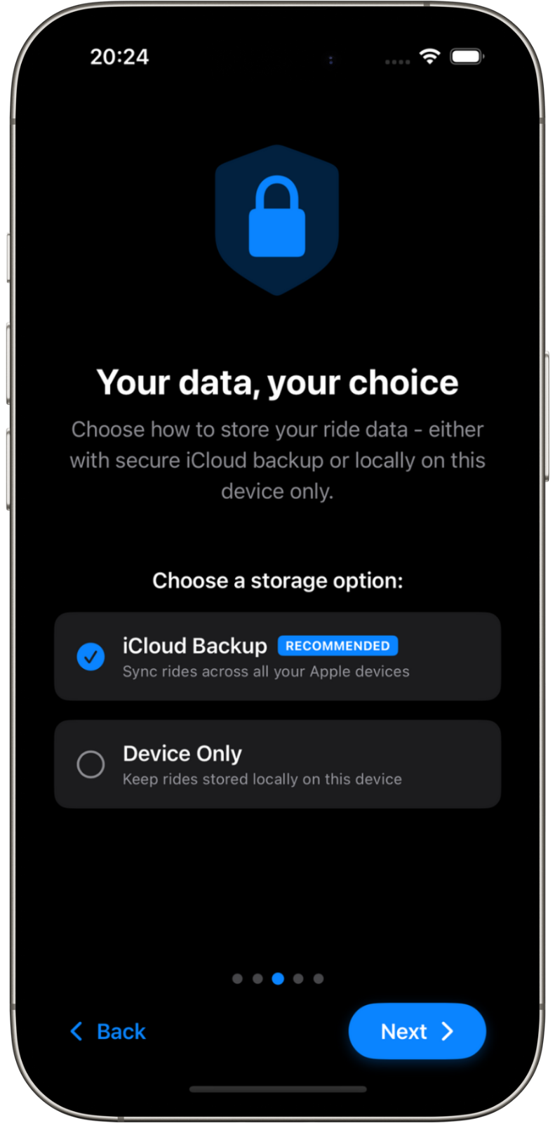 Privacy controls interface